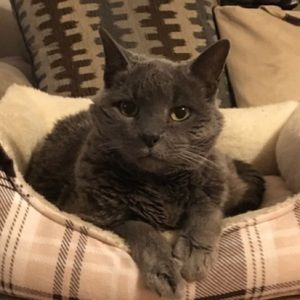 Meet your Posher, Shauna c